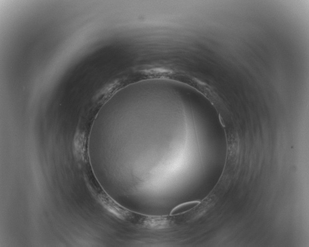 X0000081300767200701181835