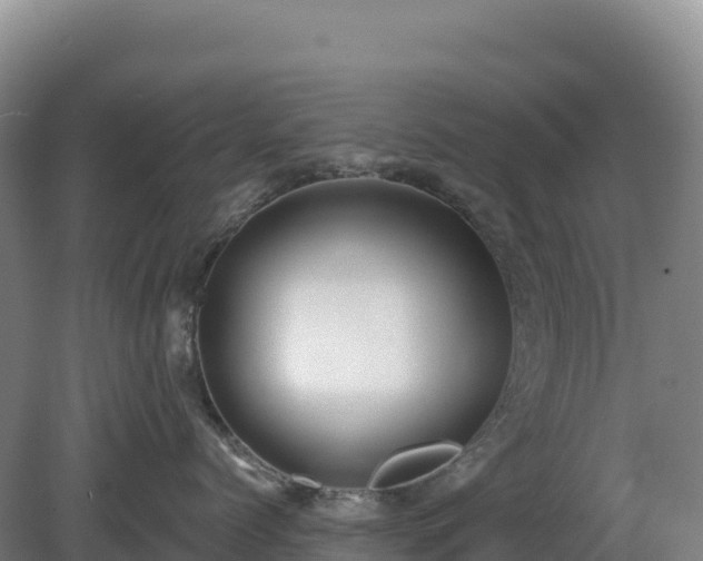 X0000081300768200701181835