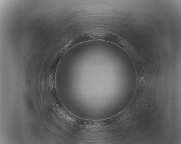 X0000081300772200701181834