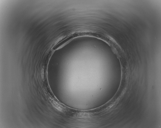 X0000081300777200701181834