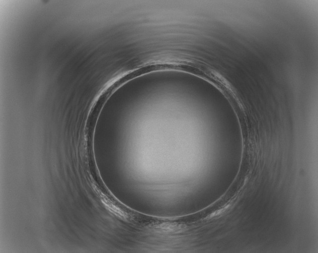 X0000081300779200701181834