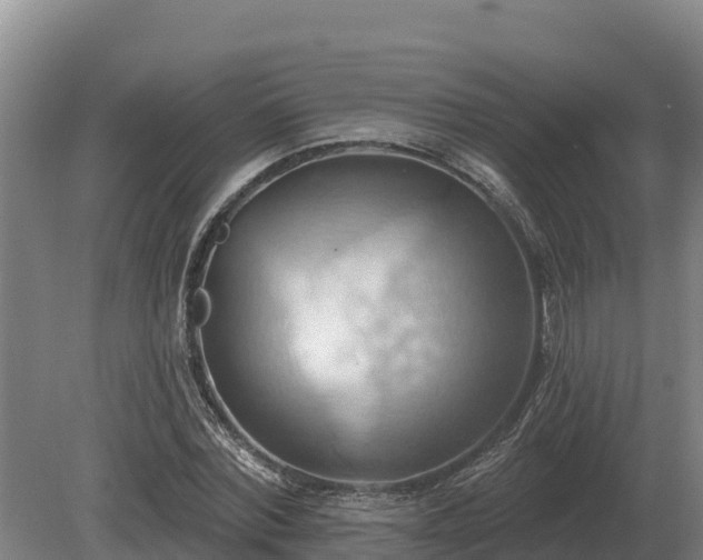 X0000081300780200701181834