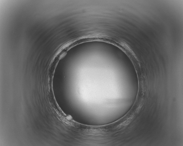 X0000081300781200701181834