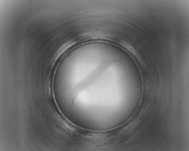 X0000081300782200701181834