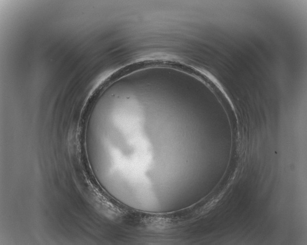 X0000081300783200701181834