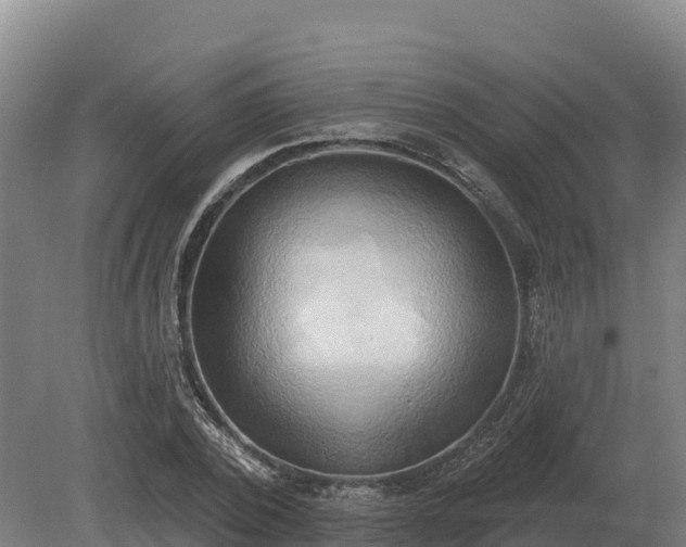 X0000081300784200701181834