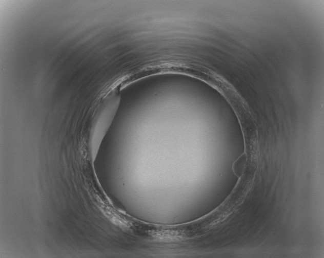 X0000081300785200701181834