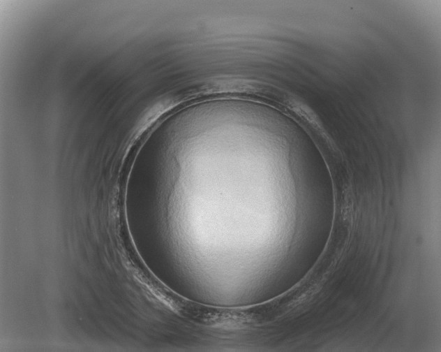 X0000081300786200701181834