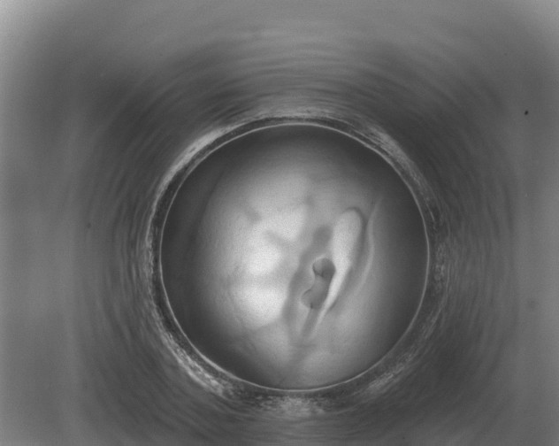 X0000081300787200701181834