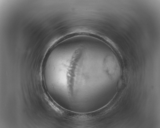 X0000081300791200701181834