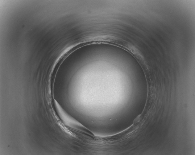 X0000081300792200701181834