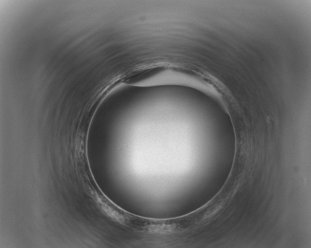 X0000081300793200701181834