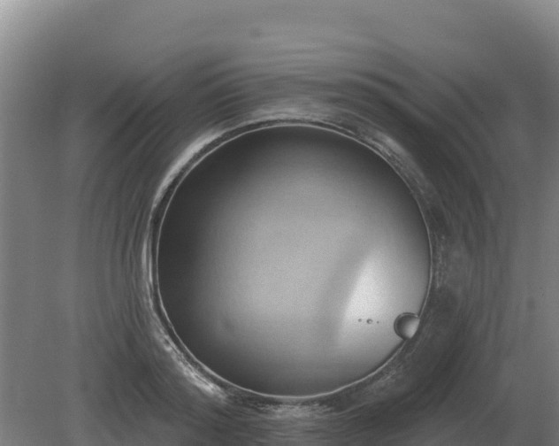 X0000081300796200701181834