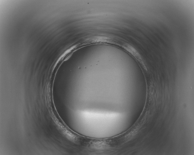 X0000081300798200701181834