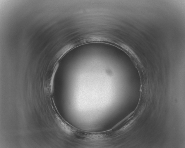 X0000081300801200701181834