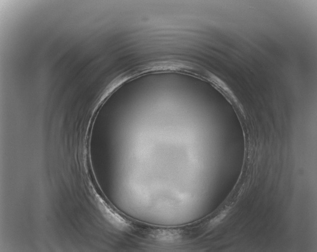 X0000081300802200701181834