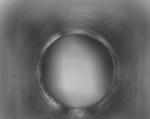 X0000081300806200701181834