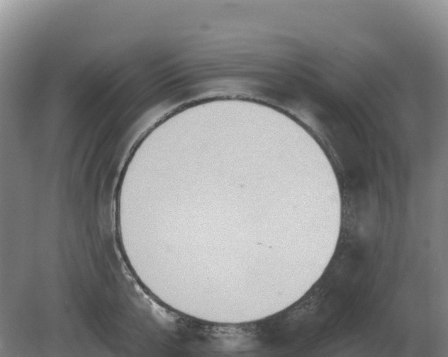 X0000081300807200701181834