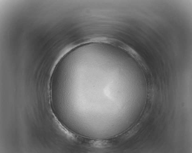 X0000081300808200701181834