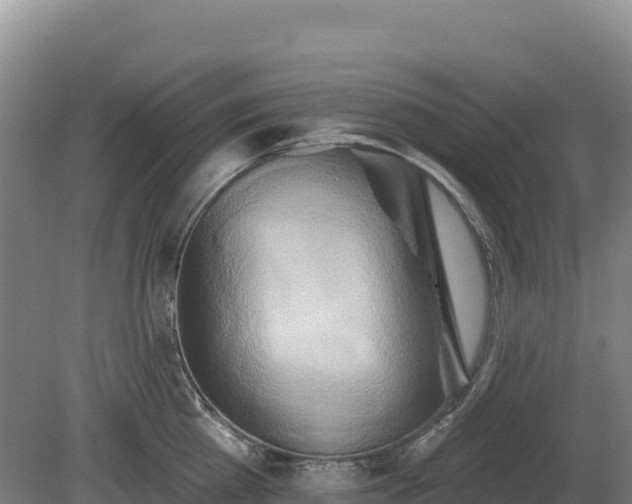 X0000081300809200701181834