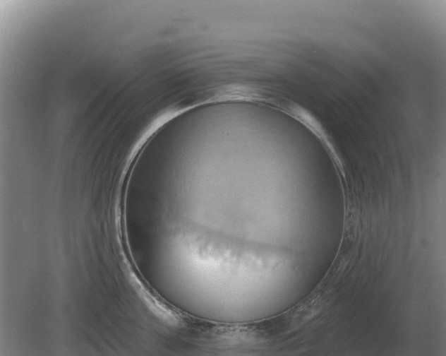 X0000081300811200701181834