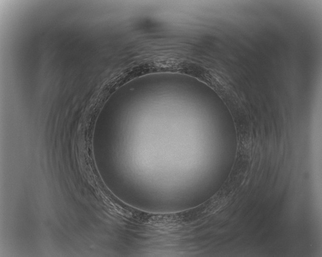 X0000081300817200701181833