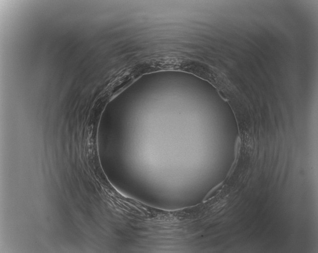 X0000081300818200701181833