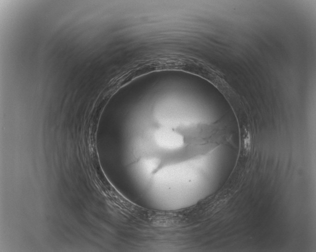 X0000081300819200701181833