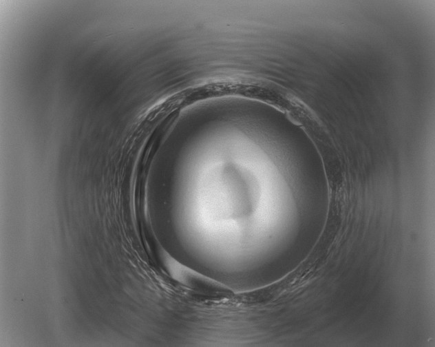 X0000081300822200701181833