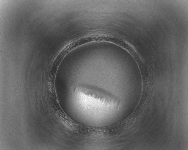 X0000081300823200701181833