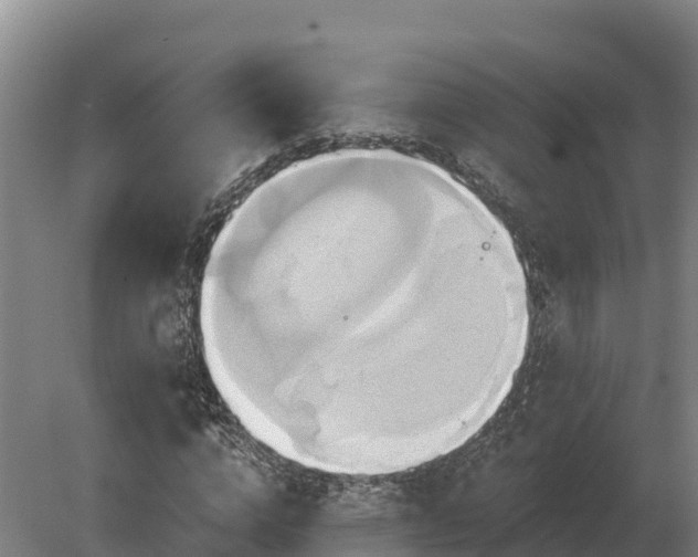 X0000081300824200701181833