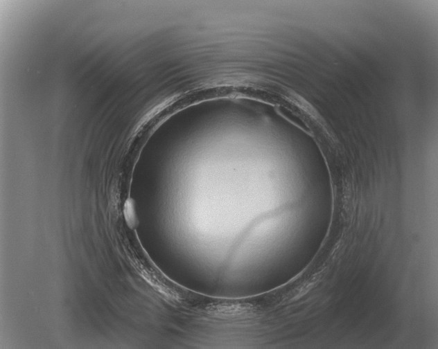 X0000081300826200701181833