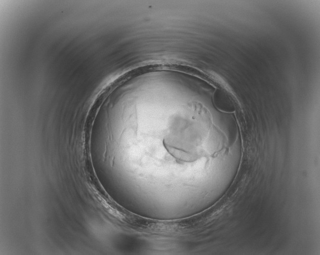 X0000081300831200701181833