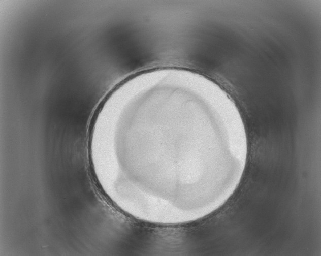 X0000081300836200701181833