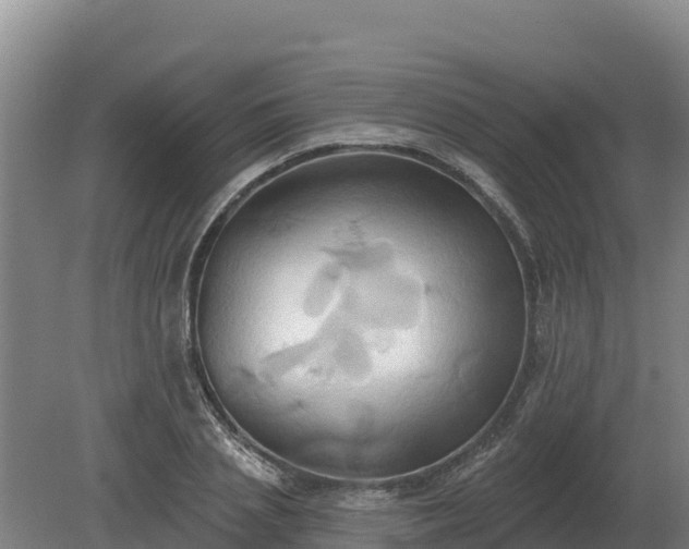 X0000081300837200701181833