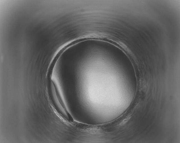 X0000081300838200701181833