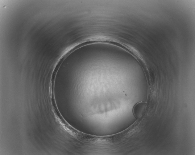 X0000081300839200701181833