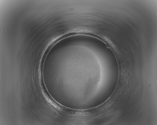 X0000081300840200701181833