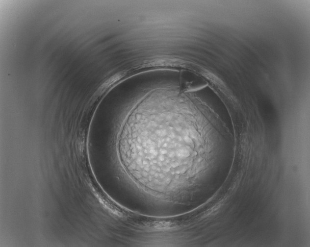 X0000081300841200701181833