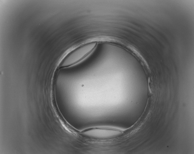 X0000081300845200701181833