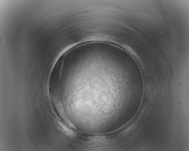 X0000081300846200701181833