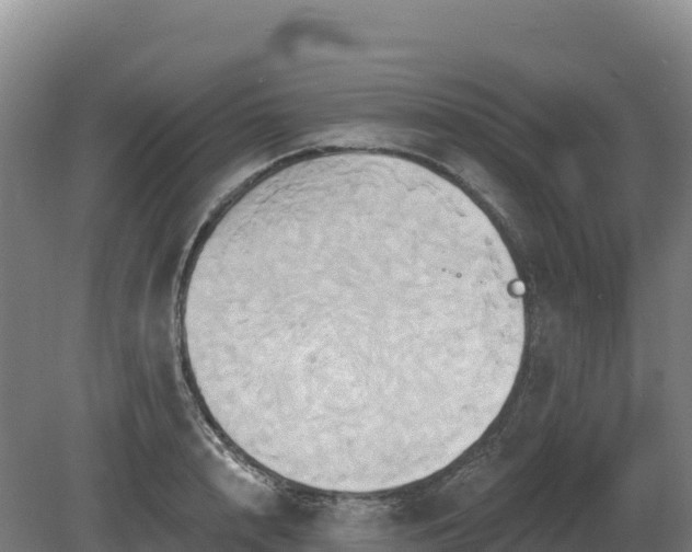 X0000081300848200701181833