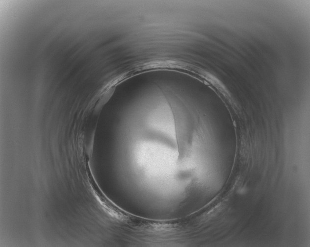 X0000081300849200701181833