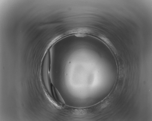 X0000081300850200701181833