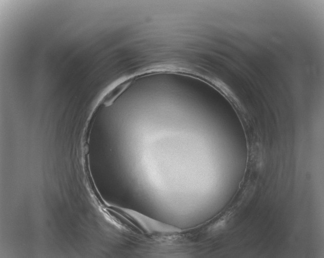 X0000081300854200701181833