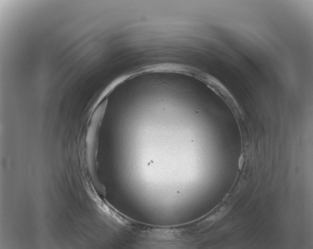 X0000081300860200701181833