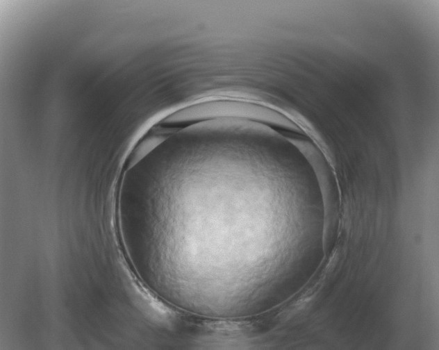 X0000081300862200701181833