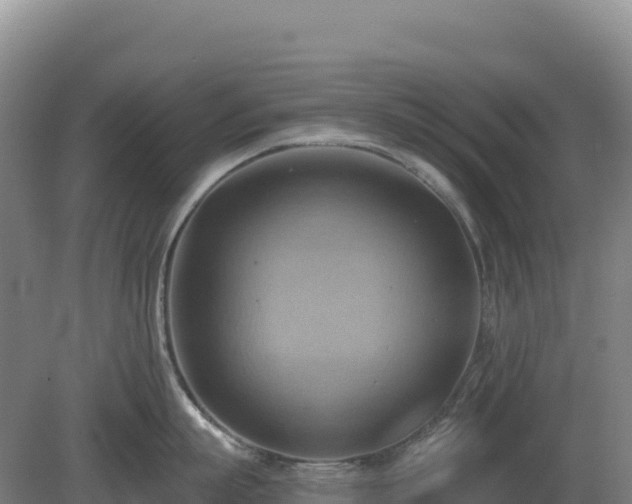 X0000081300863200701181833