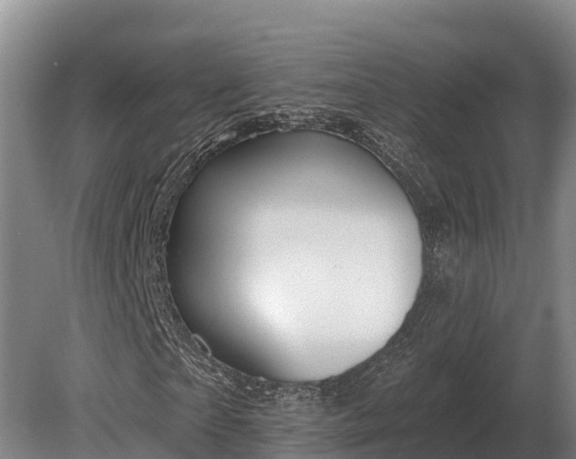 X0000081300865200701181833