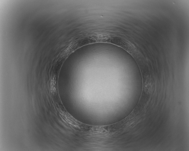 X0000081300866200701181833